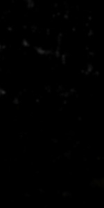 Absolute&nbsp;Black