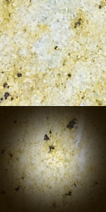 Colonial&nbsp;Cream