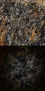 Golden&nbsp;Cosmos