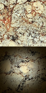 Netuna&nbsp;Gold
