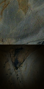 Turtle&nbsp;Blue